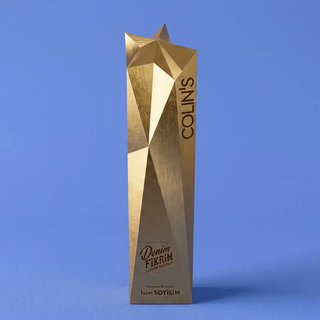 Denim Fikrim award design 2